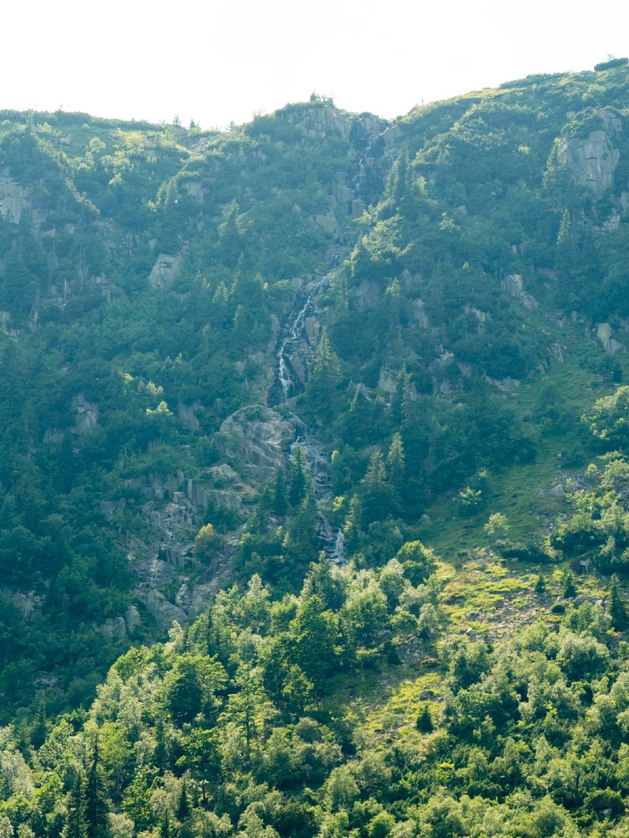 0056 medvedin  0056 medvedin