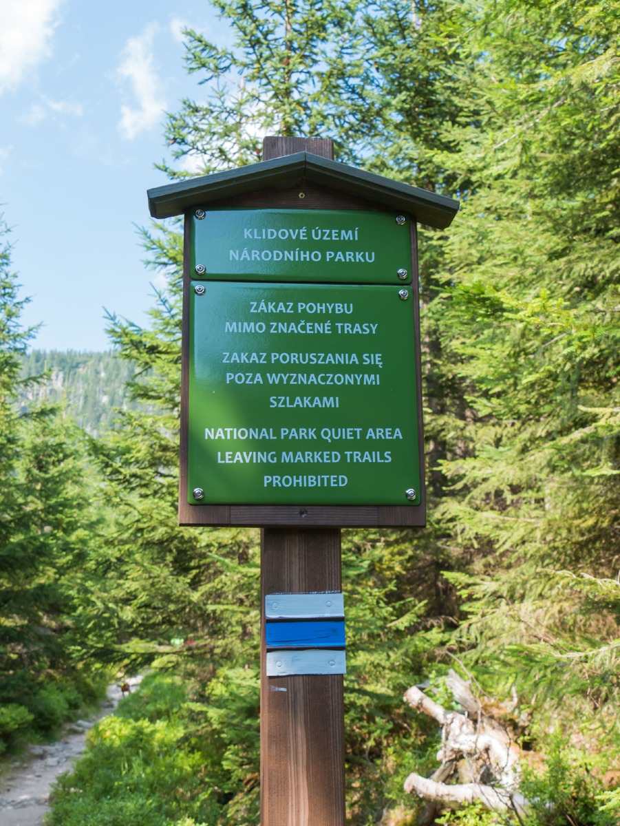 0057 medvedin  0057 medvedin