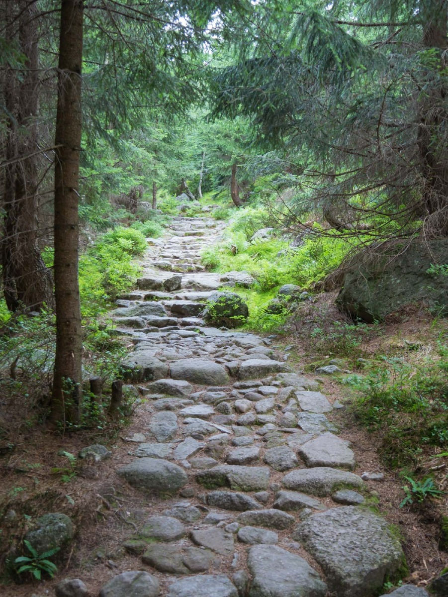 0059 medvedin  0059 medvedin