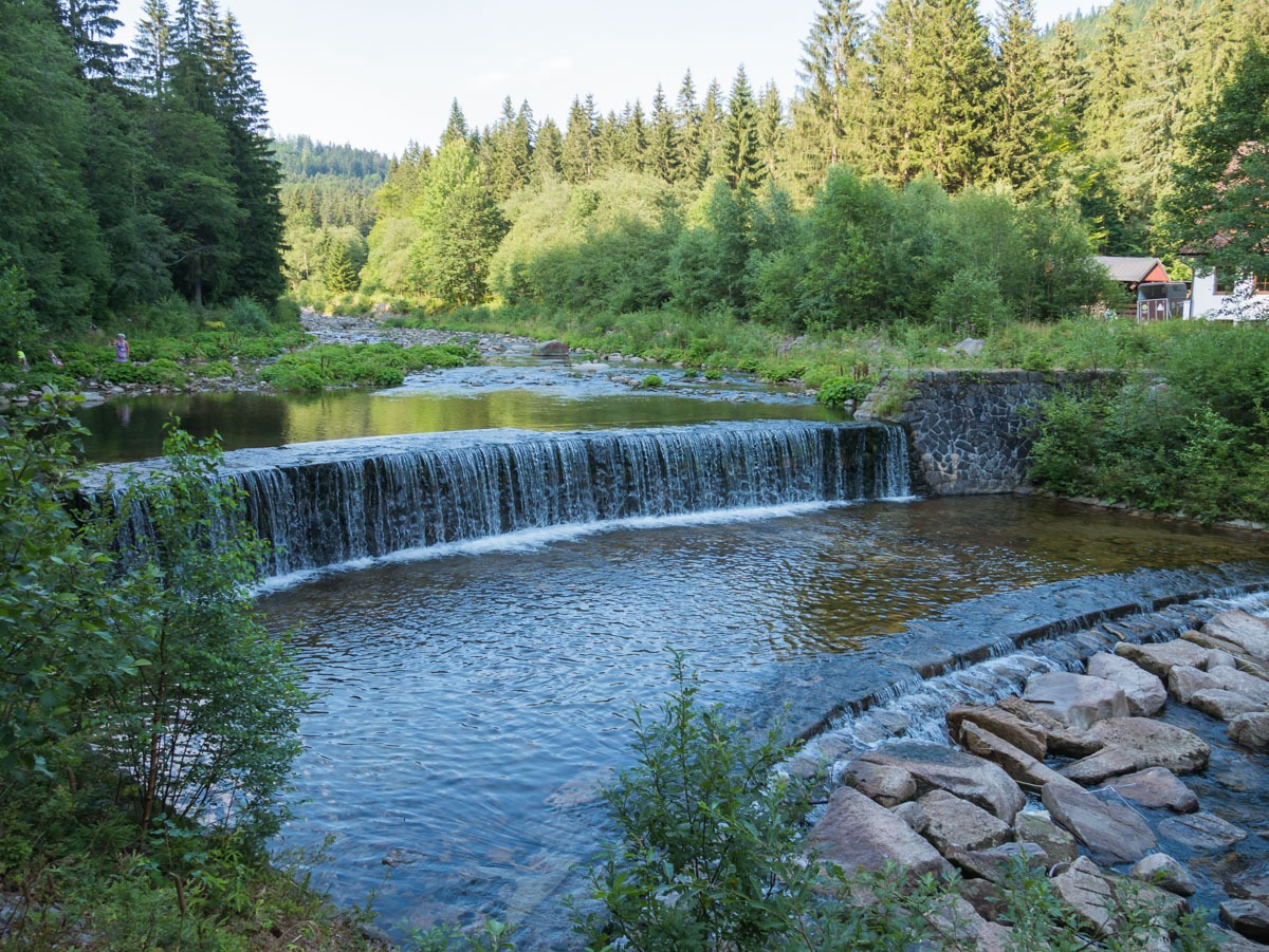 0066 medvedin  0066 medvedin