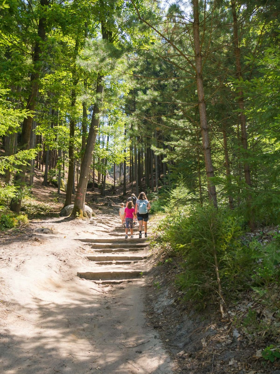 220804 prachovske skaly 0001 220804 prachovske skaly 0001