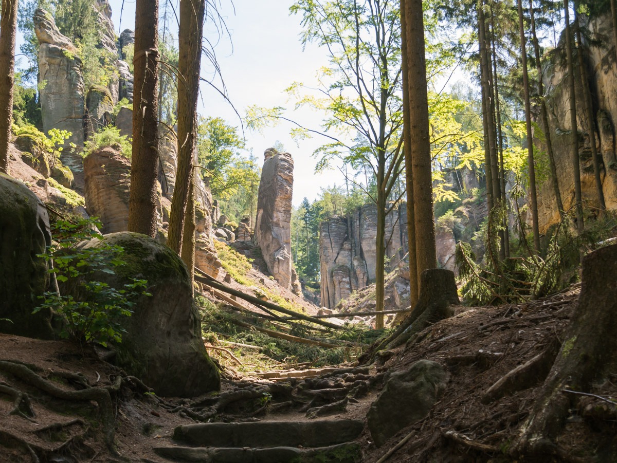 220804 prachovske skaly 0004 220804 prachovske skaly 0004