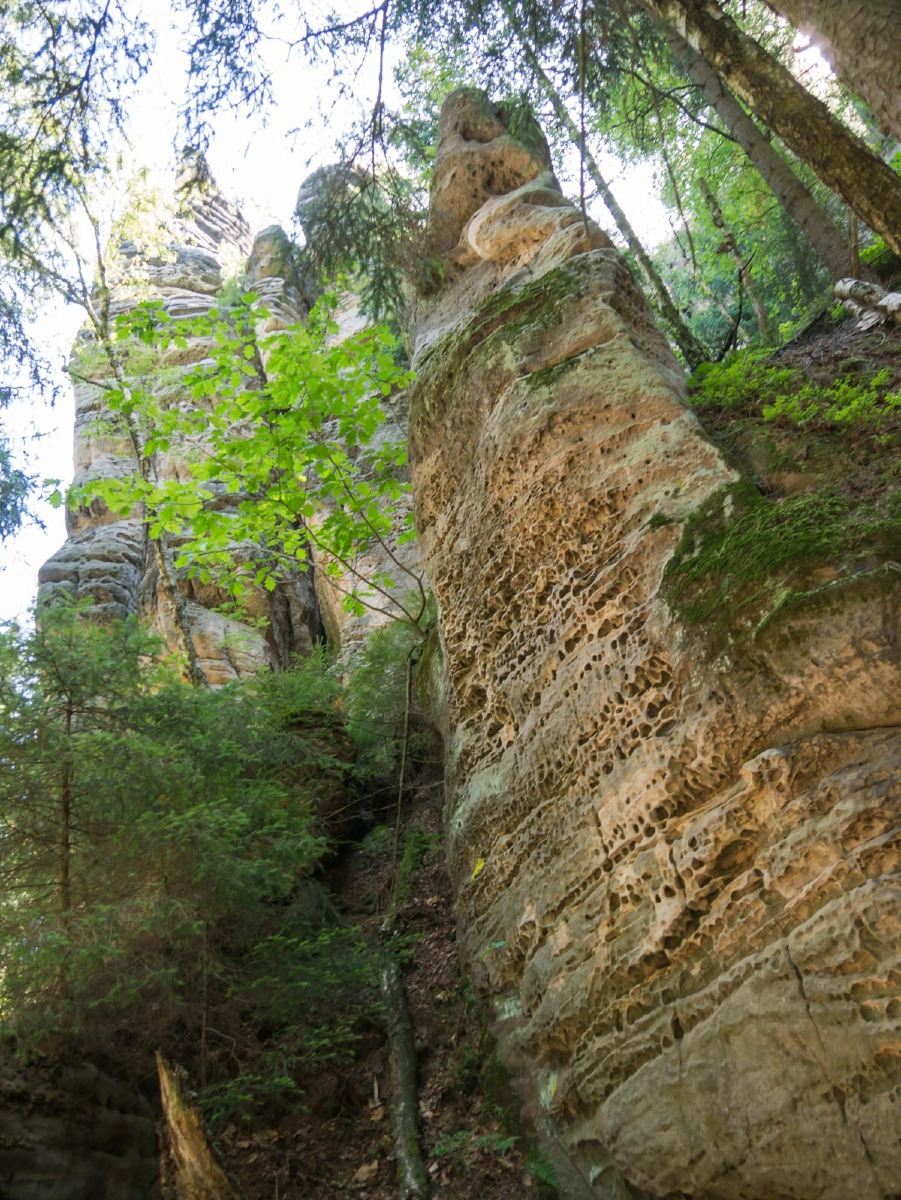 220804 prachovske skaly 0007 220804 prachovske skaly 0007