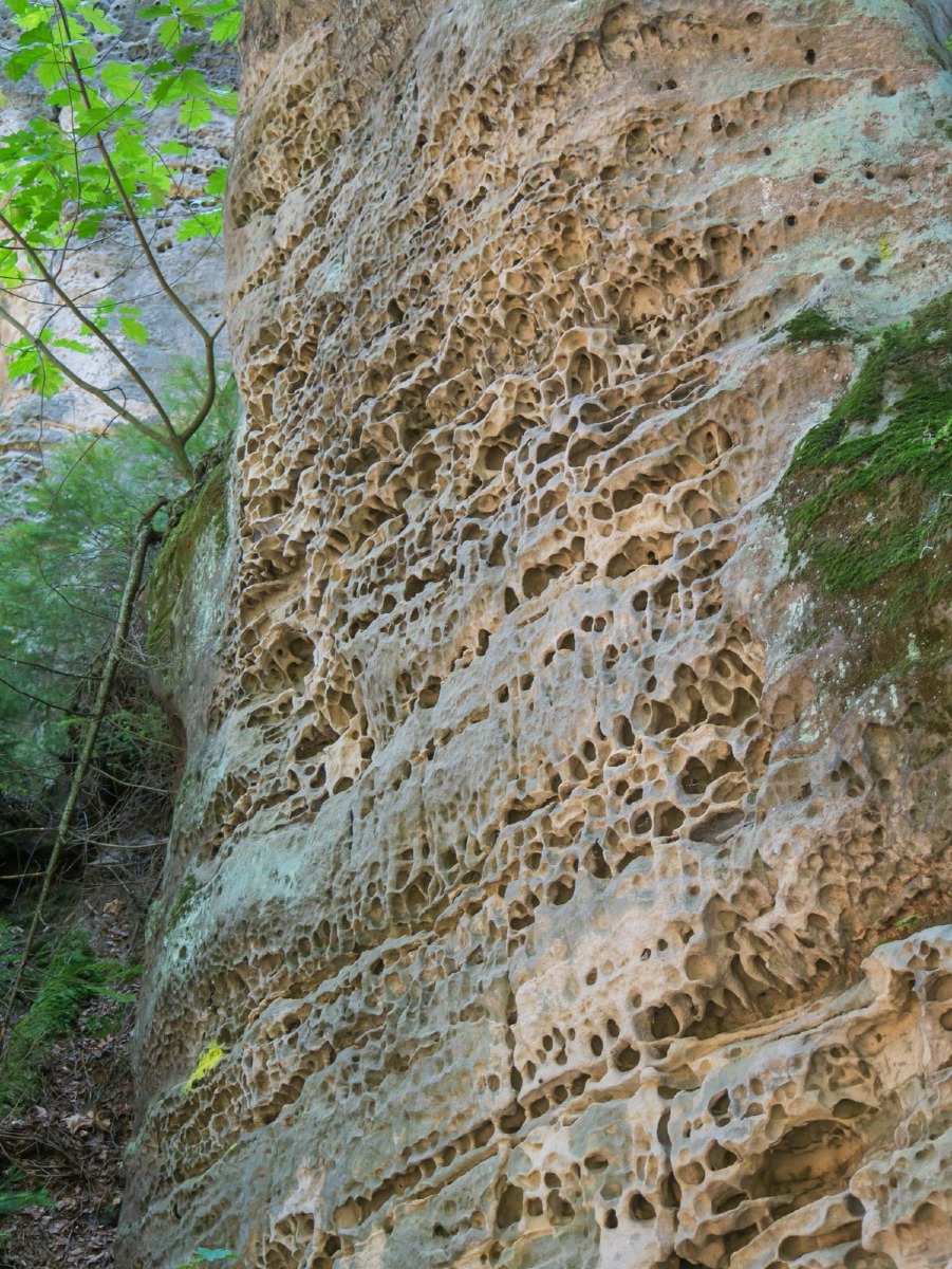 220804 prachovske skaly 0008 220804 prachovske skaly 0008