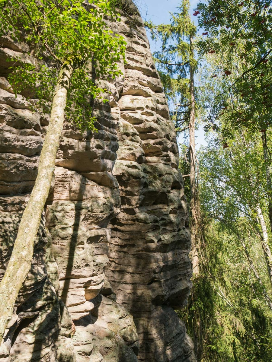 220804 prachovske skaly 0011 220804 prachovske skaly 0011