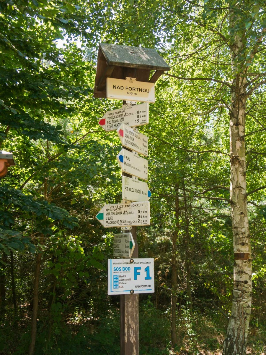 220804 prachovske skaly 0015 220804 prachovske skaly 0015