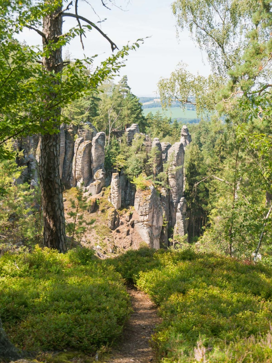 220804 prachovske skaly 0018 220804 prachovske skaly 0018