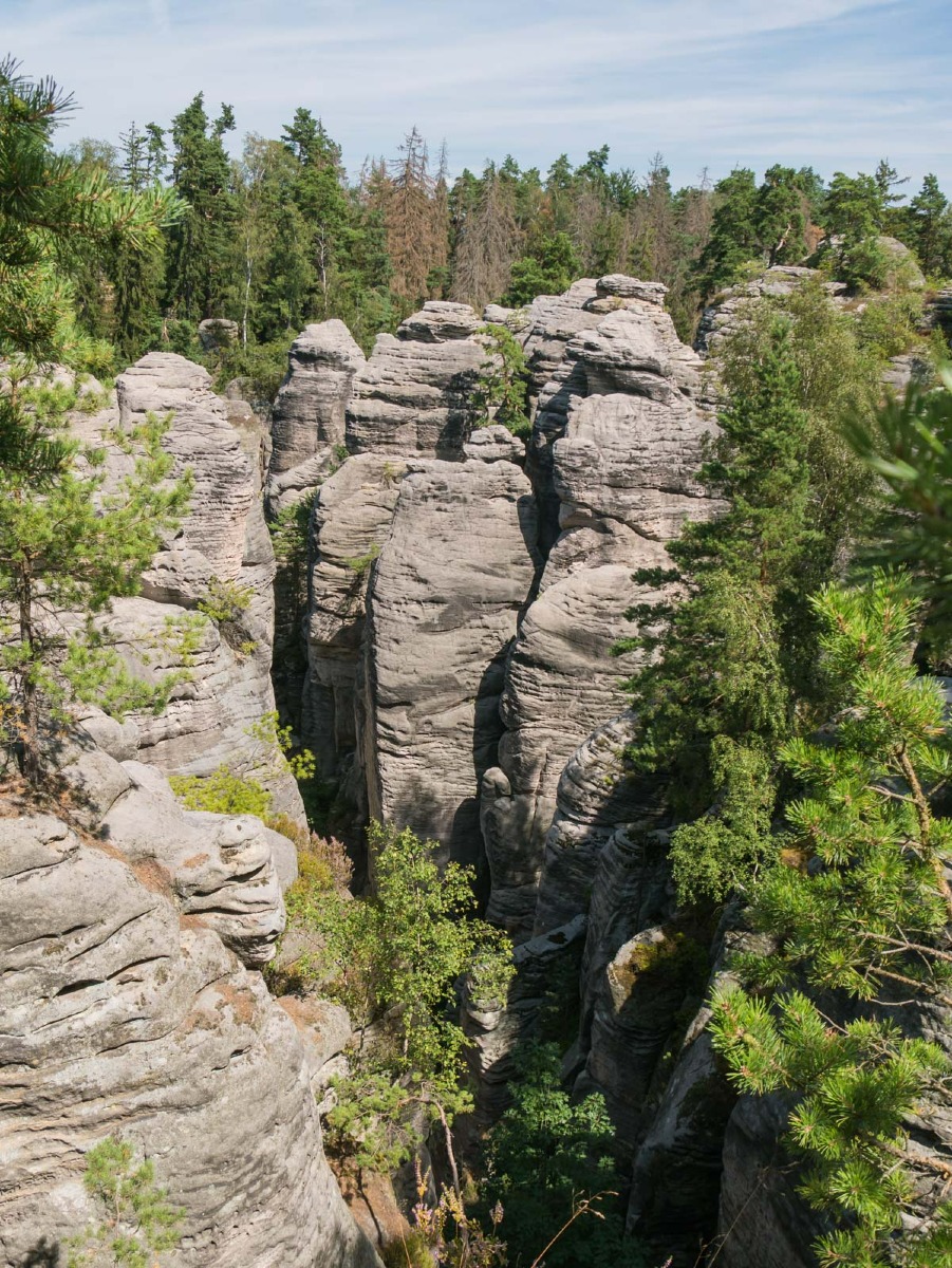 220804 prachovske skaly 0022 220804 prachovske skaly 0022