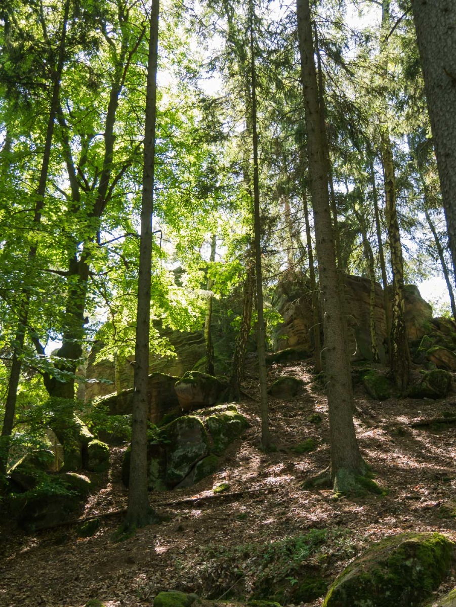 220804 prachovske skaly 0026 220804 prachovske skaly 0026