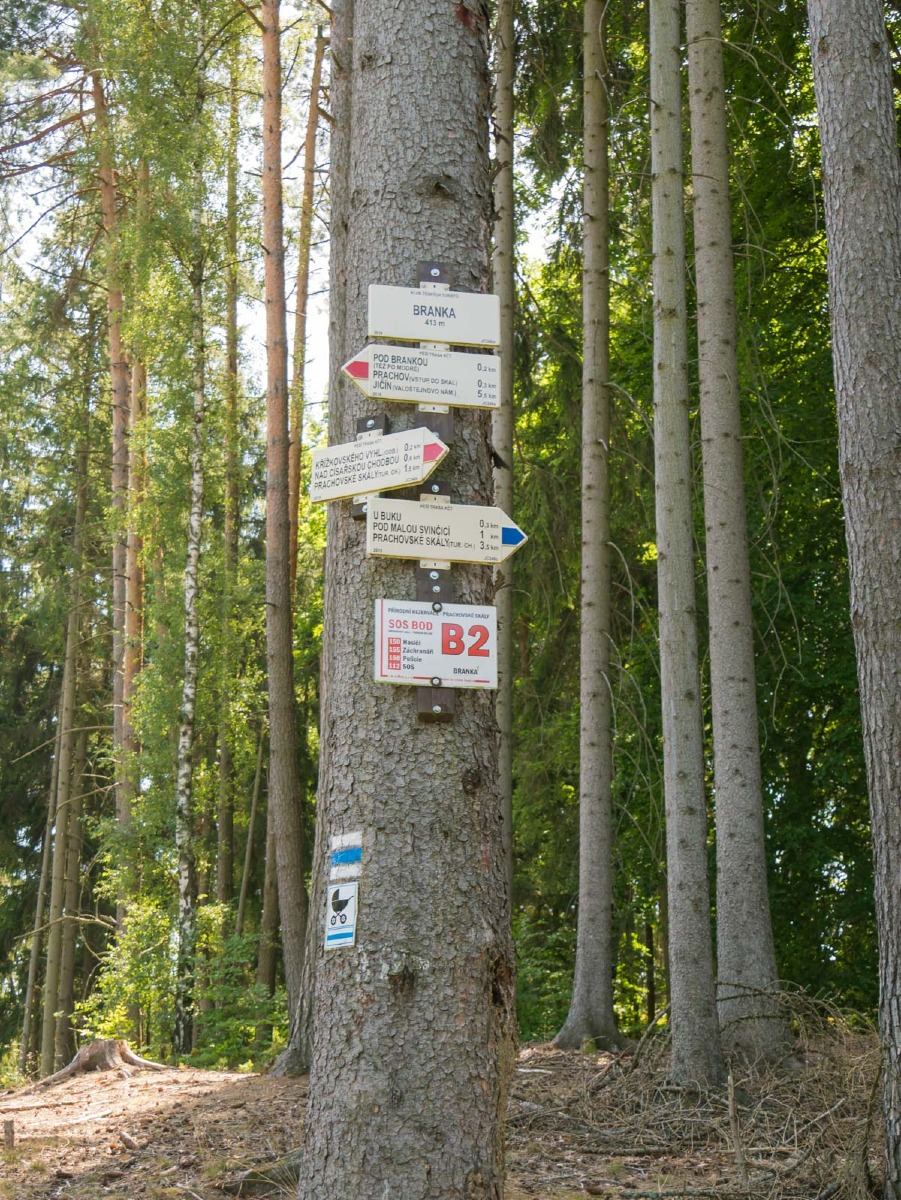 220804 prachovske skaly 0027 220804 prachovske skaly 0027