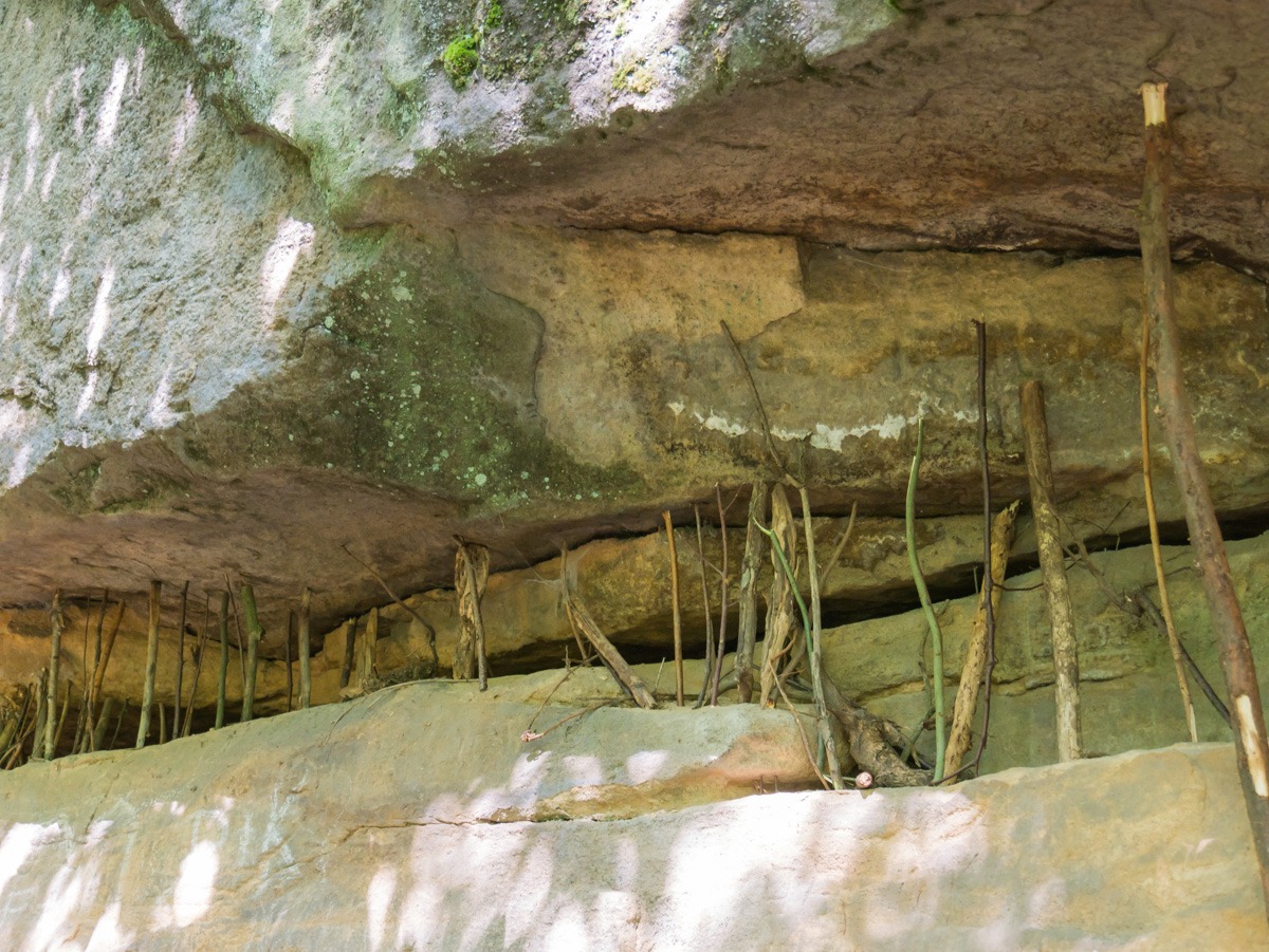 220804 prachovske skaly 0029 220804 prachovske skaly 0029