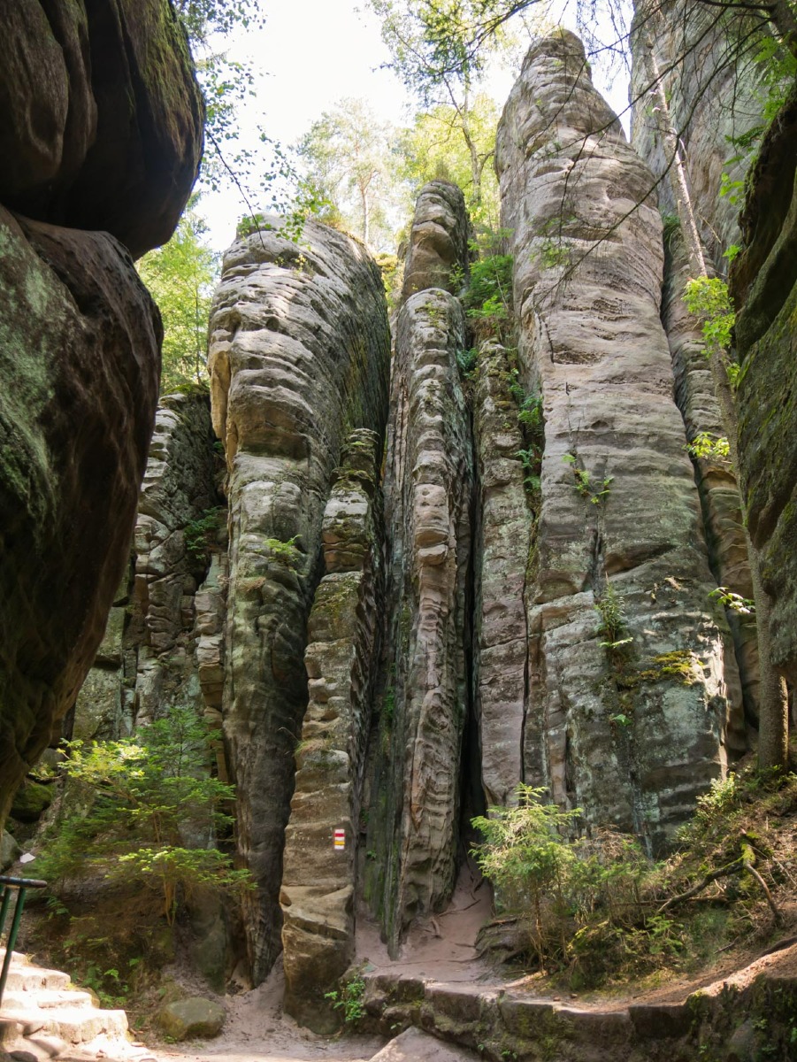 220804 prachovske skaly 0034 220804 prachovske skaly 0034