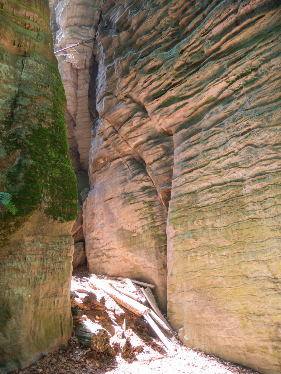 220804 prachovske skaly 0037 220804 prachovske skaly 0037