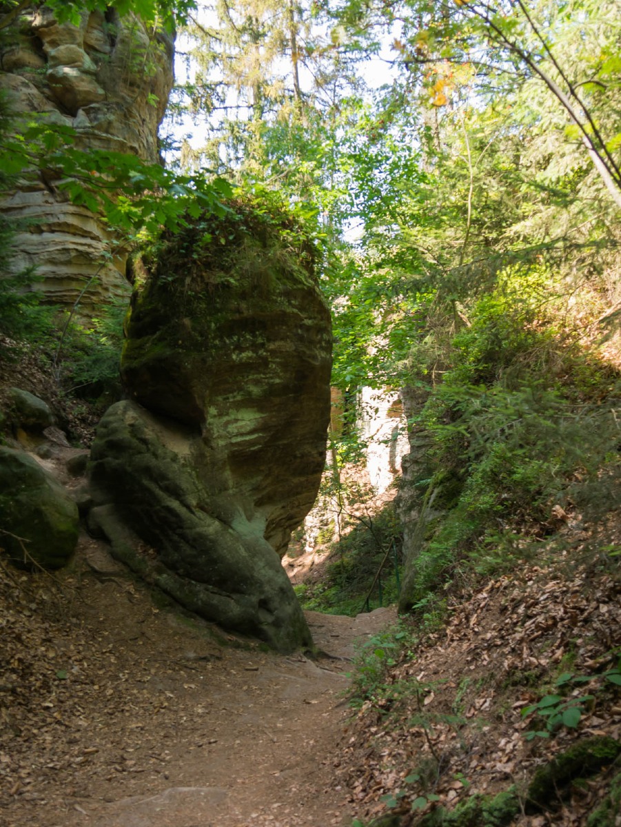 220804 prachovske skaly 0038 220804 prachovske skaly 0038