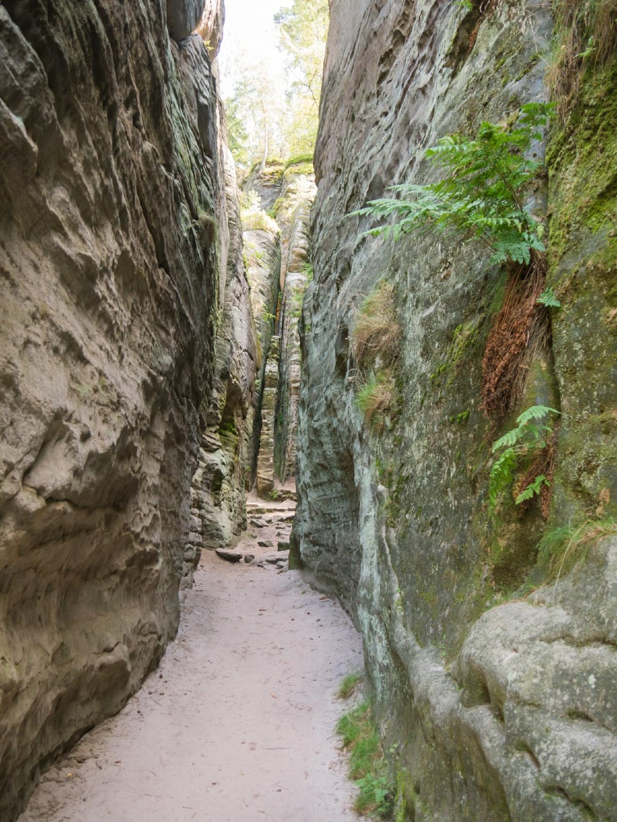 220804 prachovske skaly 0039 220804 prachovske skaly 0039