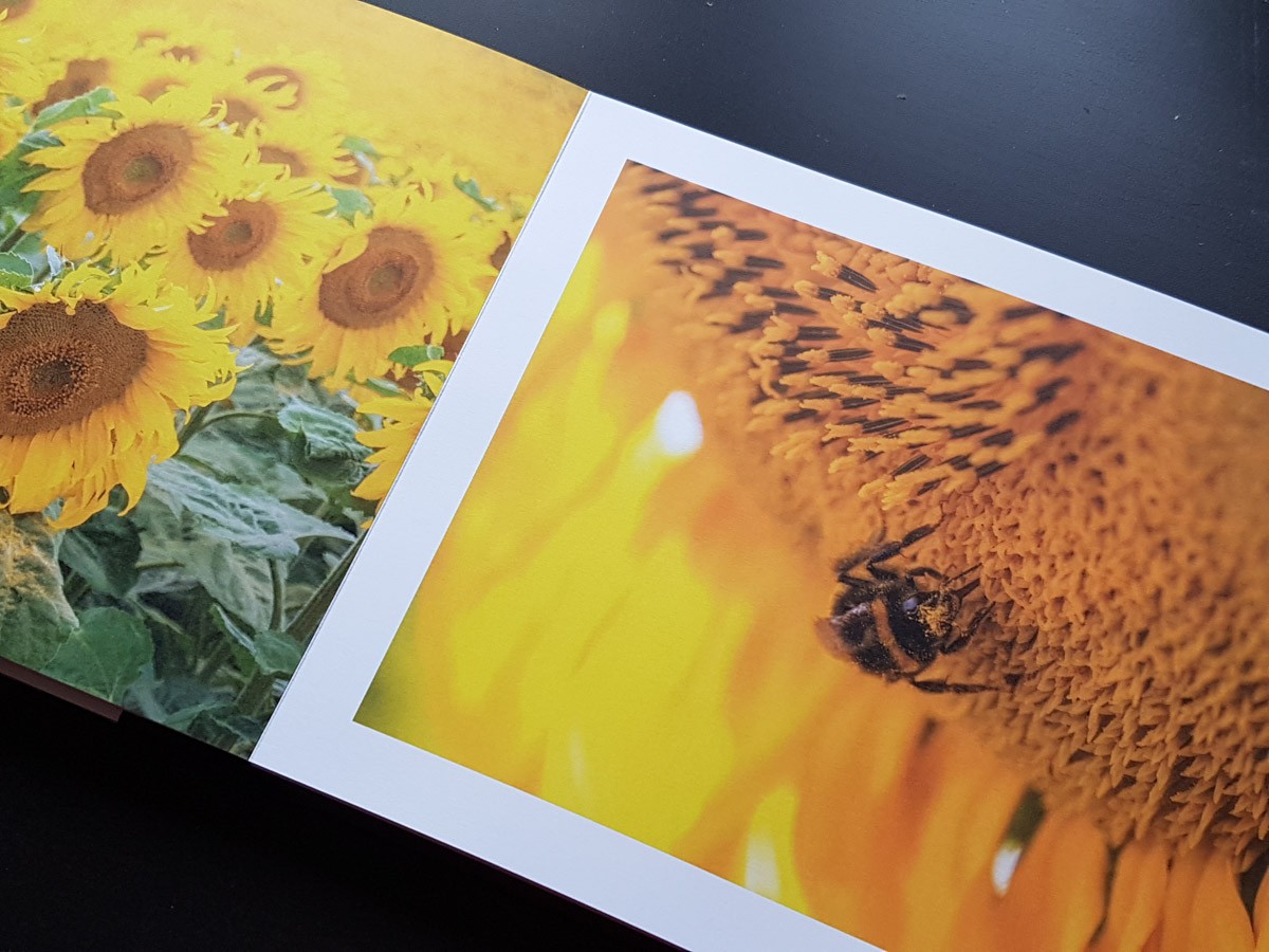 0006 221105 saal digital 2022 11 05.15.35 0006 221105 saal digital 2022 11 05.15.35