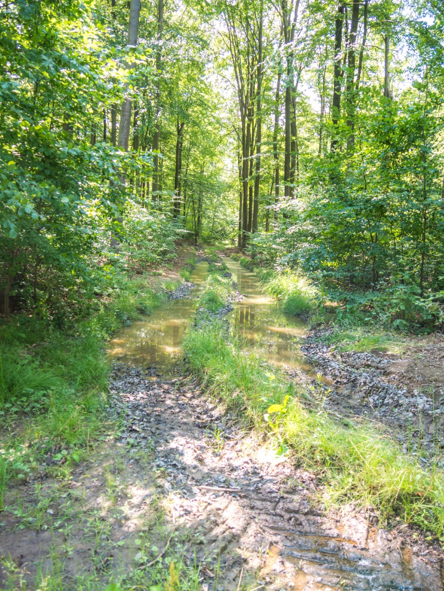 220726 stolberg josephskreuz omgeving 0016  220726 stolberg josephskreuz omgeving 0016