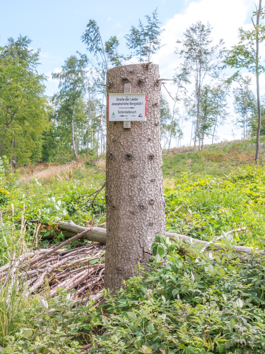 220726 stolberg josephskreuz omgeving 0018  220726 stolberg josephskreuz omgeving 0018