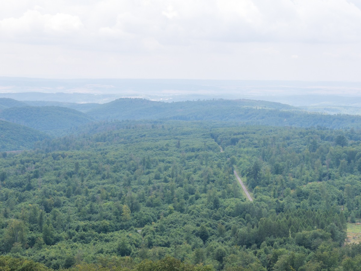 220726 stolberg josephskreuz omgeving 0036  220726 stolberg josephskreuz omgeving 0036