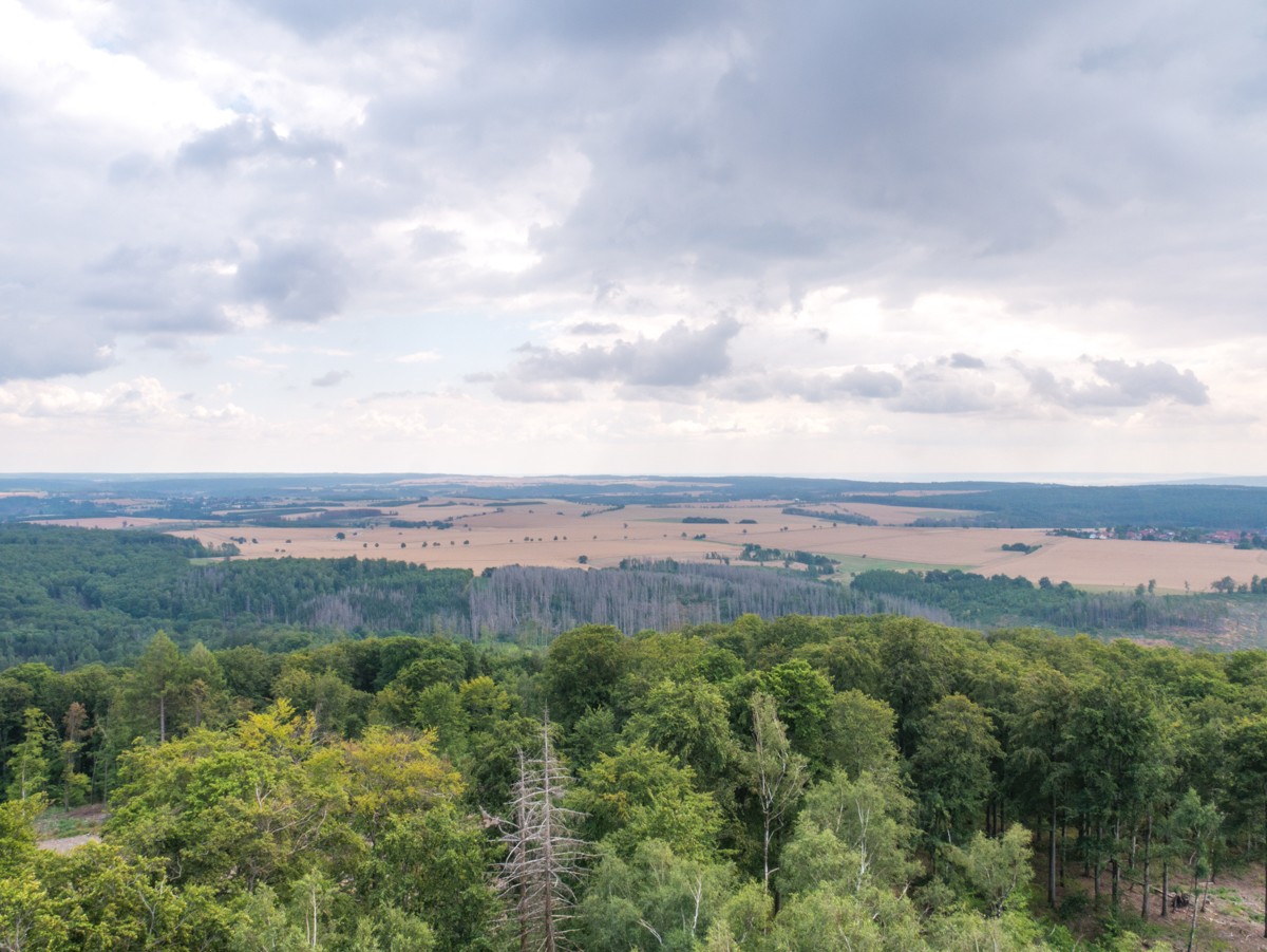 220726 stolberg josephskreuz omgeving 0039  220726 stolberg josephskreuz omgeving 0039