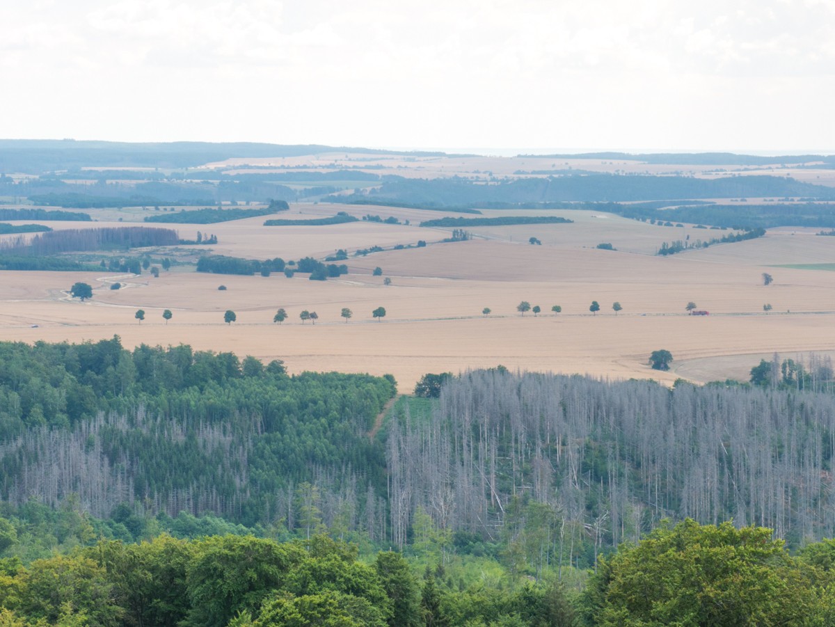 220726 stolberg josephskreuz omgeving 0041  220726 stolberg josephskreuz omgeving 0041