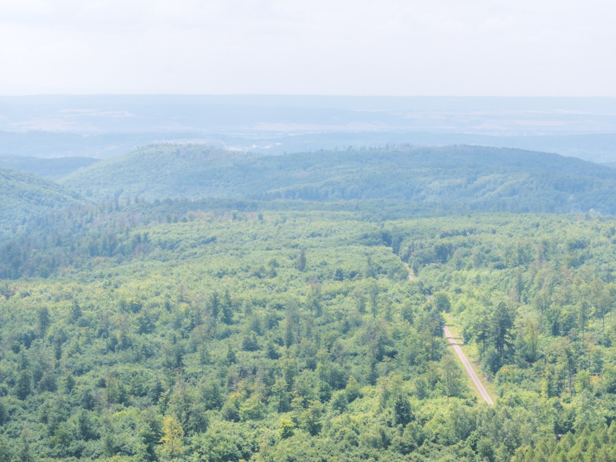 220726 stolberg josephskreuz omgeving 0043  220726 stolberg josephskreuz omgeving 0043