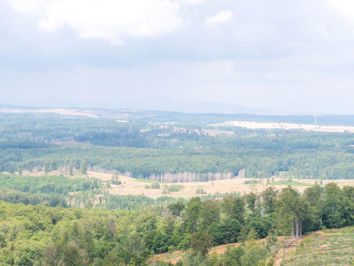 220726 stolberg josephskreuz omgeving 0045  220726 stolberg josephskreuz omgeving 0045