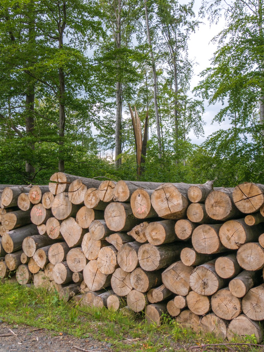 220726 stolberg josephskreuz omgeving 0060  220726 stolberg josephskreuz omgeving 0060