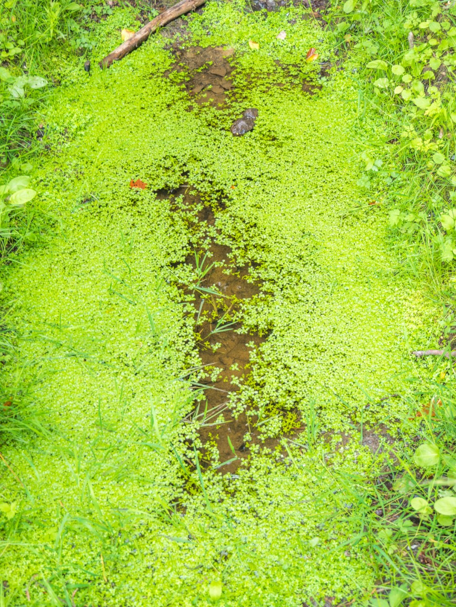 220726 stolberg josephskreuz omgeving 0061  220726 stolberg josephskreuz omgeving 0061