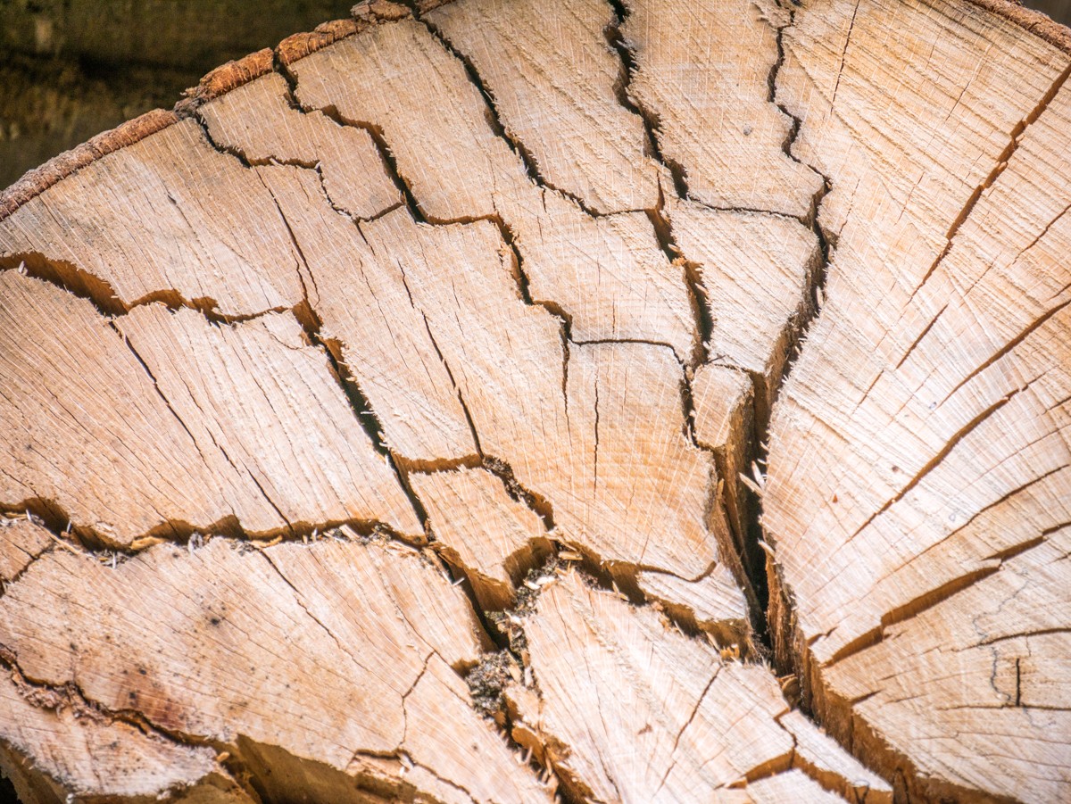 220726 stolberg josephskreuz omgeving 0065  220726 stolberg josephskreuz omgeving 0065