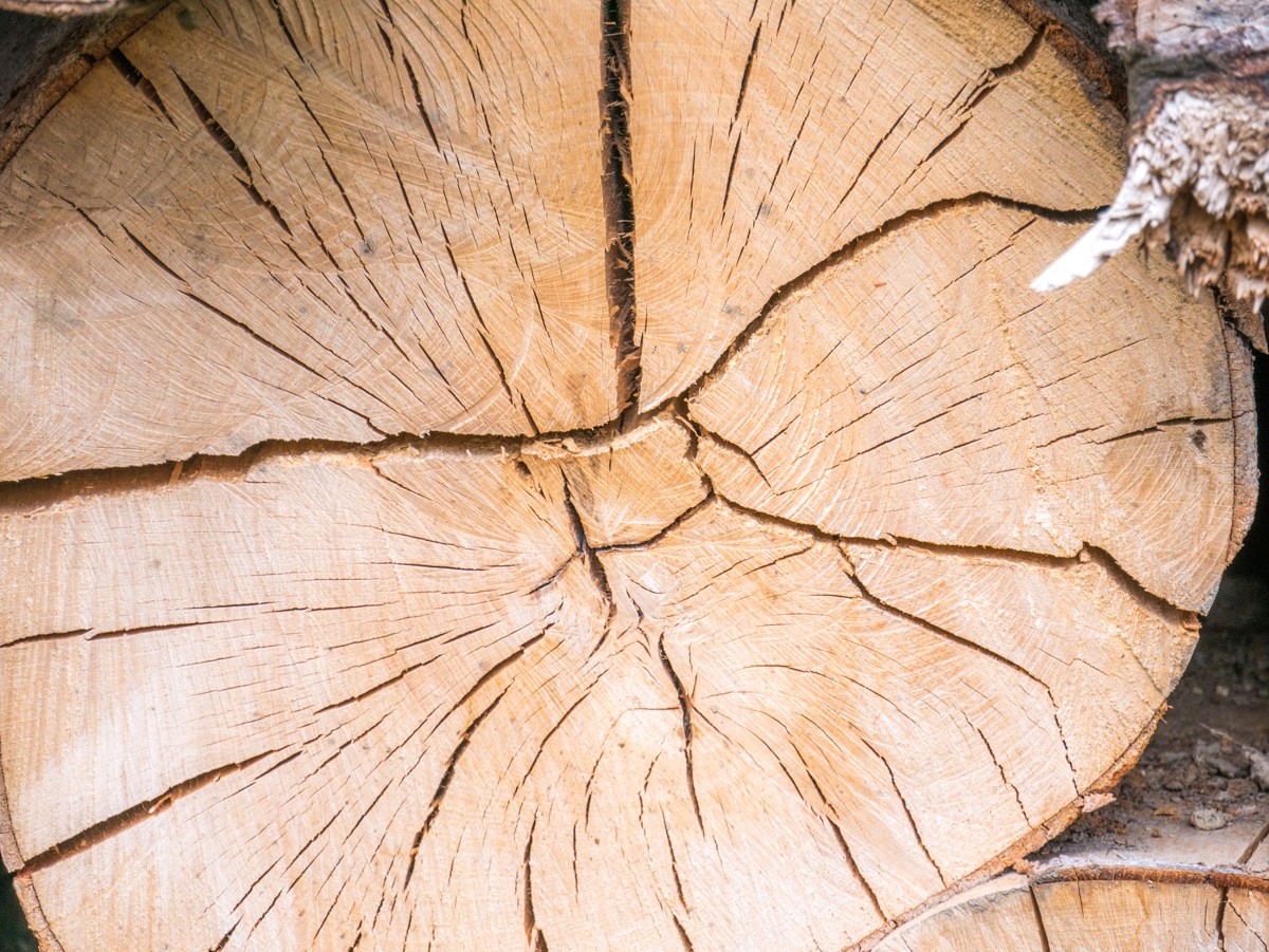 220726 stolberg josephskreuz omgeving 0066  220726 stolberg josephskreuz omgeving 0066