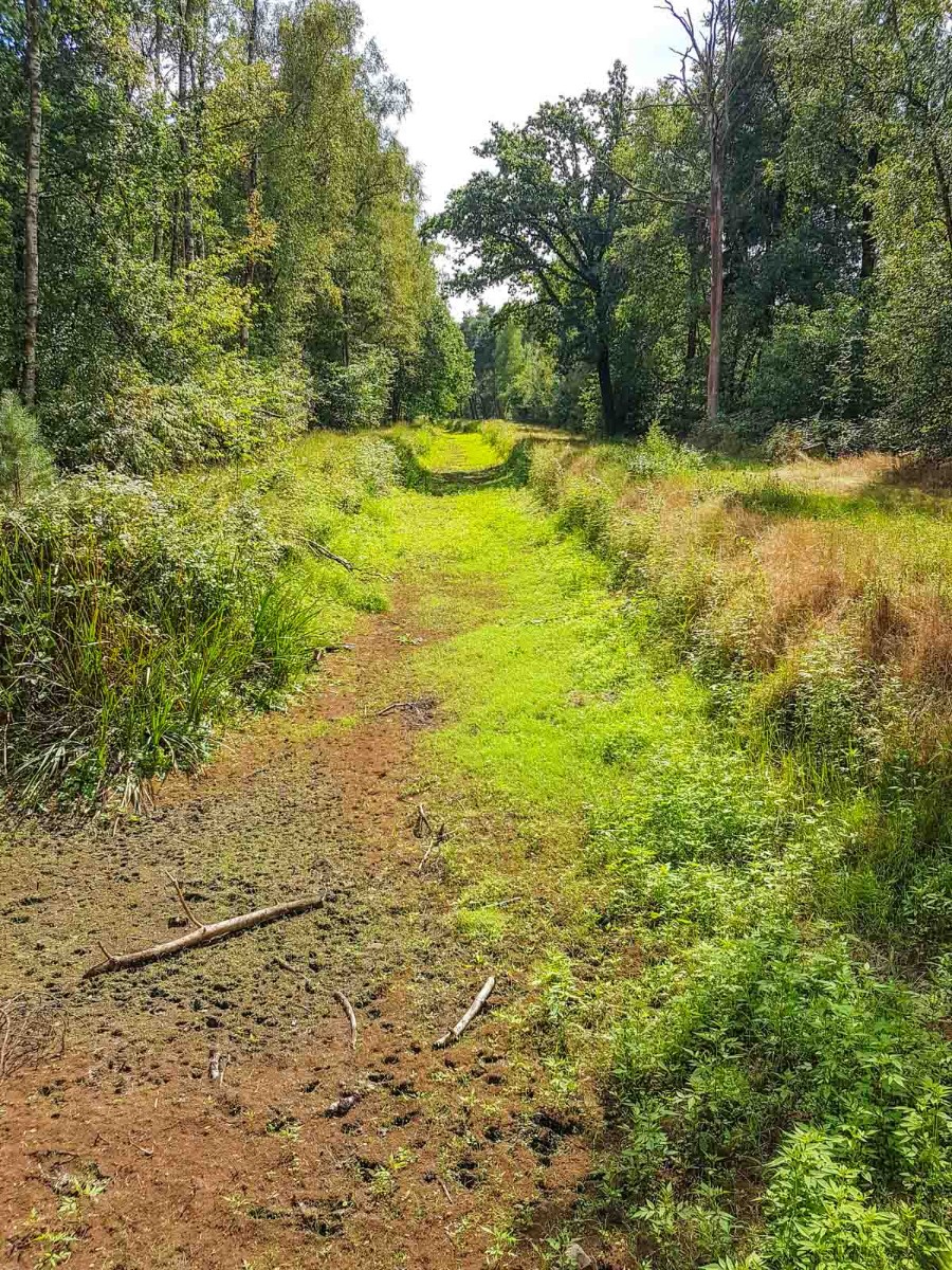 220820 strabrechtse heide 0017 2022 08 20.57.13 220820 strabrechtse heide 0017 2022 08 20.57.13