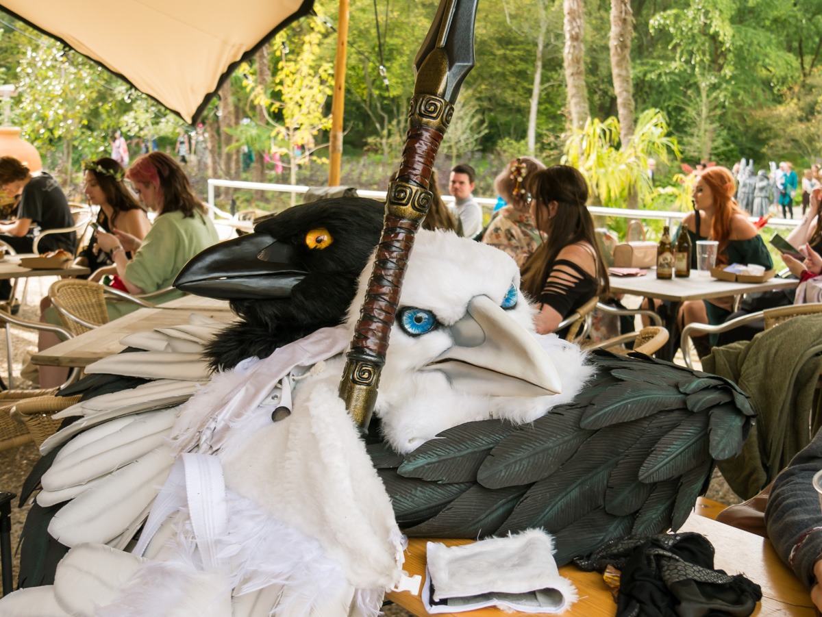 0079 elfia arcen 0079 elfia arcen