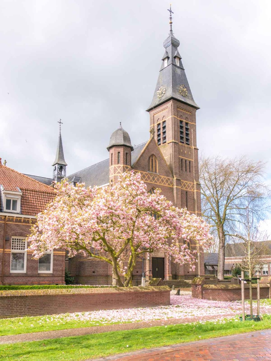 0002 bloesem 0002 bloesem