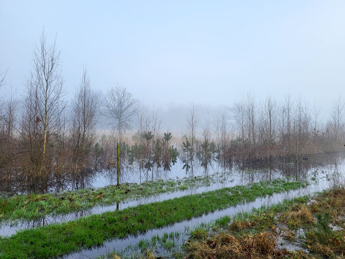 0016 maashorst 2024 03 06.14.38 0016 maashorst 2024 03 06.14.38