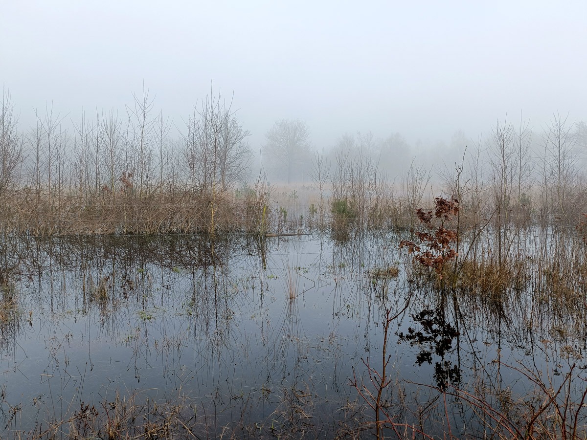 0019 maashorst img20240306091828 0019 maashorst img20240306091828