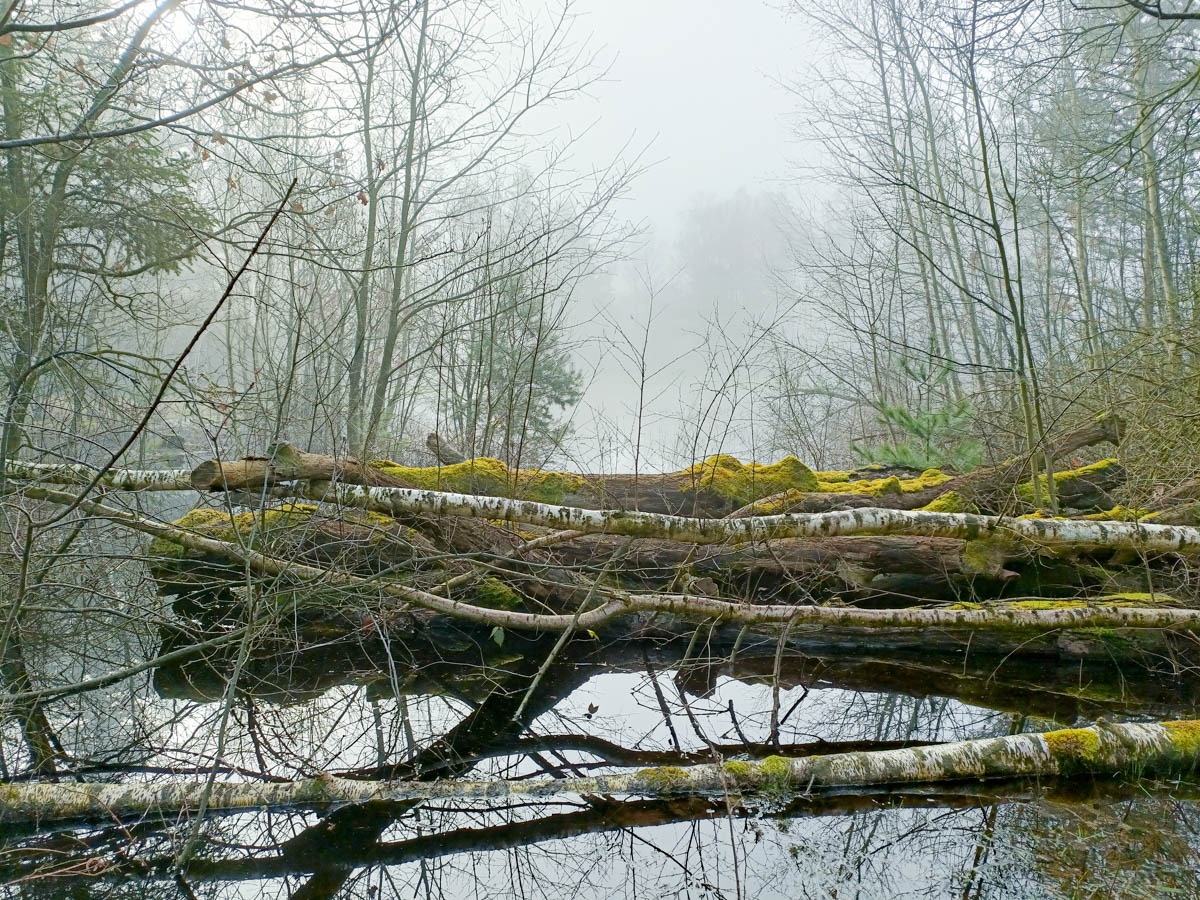 0023 maashorst img20240306092248 0023 maashorst img20240306092248