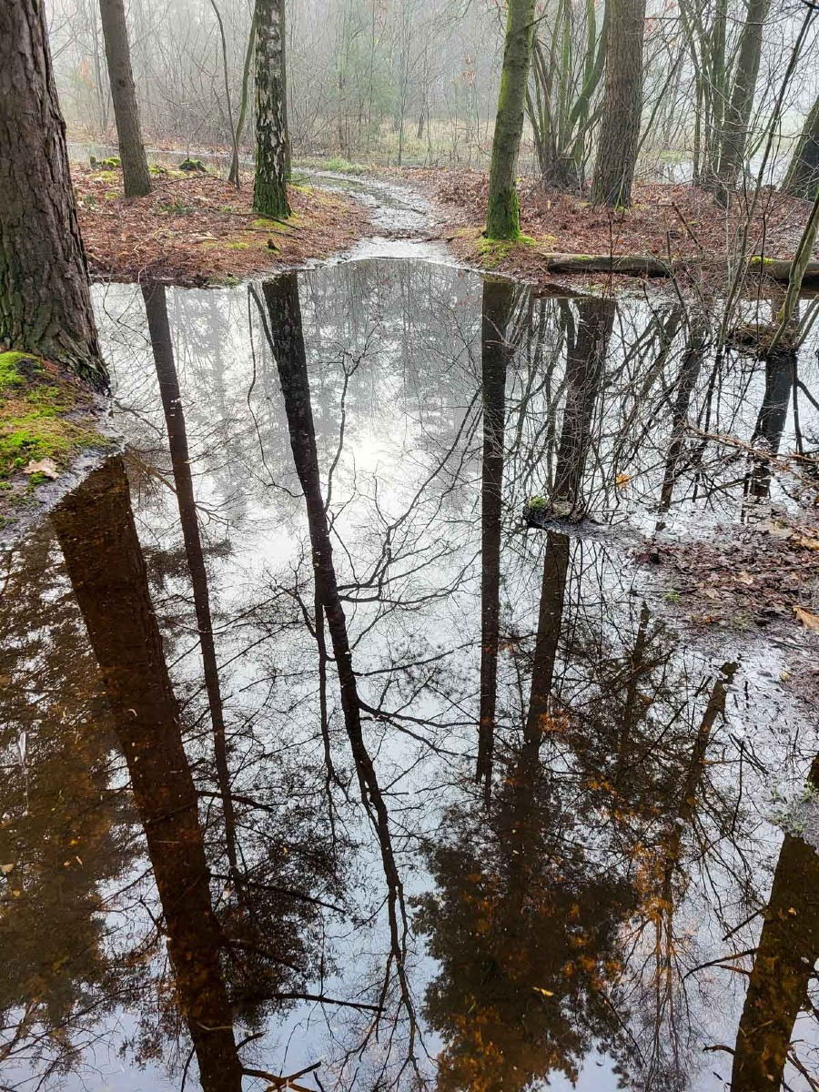 0024 maashorst 2024 03 06.23.39 0024 maashorst 2024 03 06.23.39