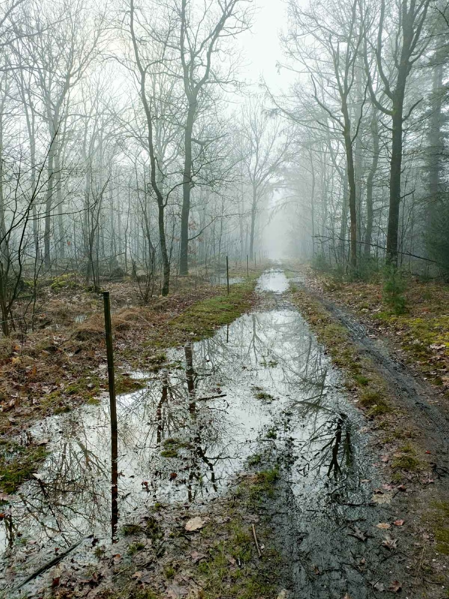 0026 maashorst img20240306092755 0026 maashorst img20240306092755