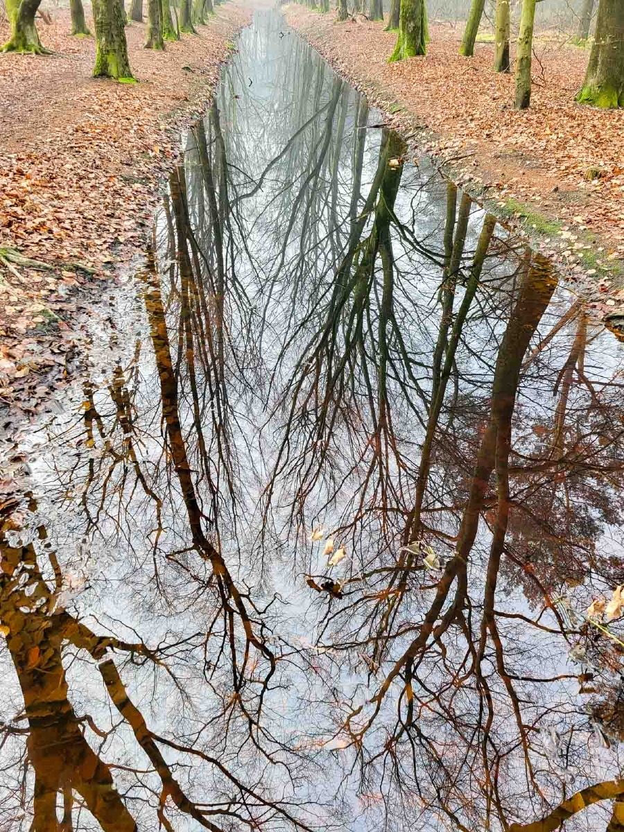 0036 maashorst 2024 03 06.47.36 0036 maashorst 2024 03 06.47.36