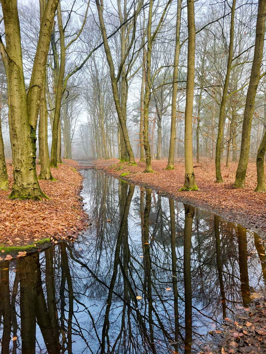 0037 maashorst 2024 03 06.47.06 0037 maashorst 2024 03 06.47.06