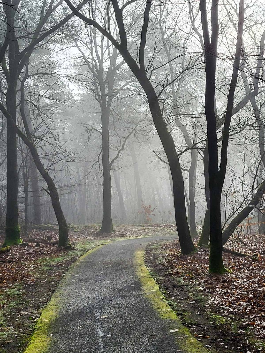 0040 maashorst 2024 03 06.53.42 0040 maashorst 2024 03 06.53.42