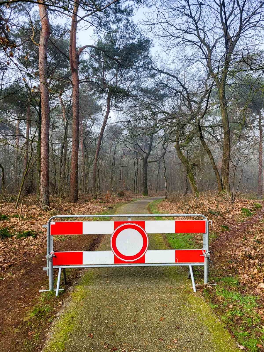 0041 maashorst 2024 03 06.58.25 0041 maashorst 2024 03 06.58.25