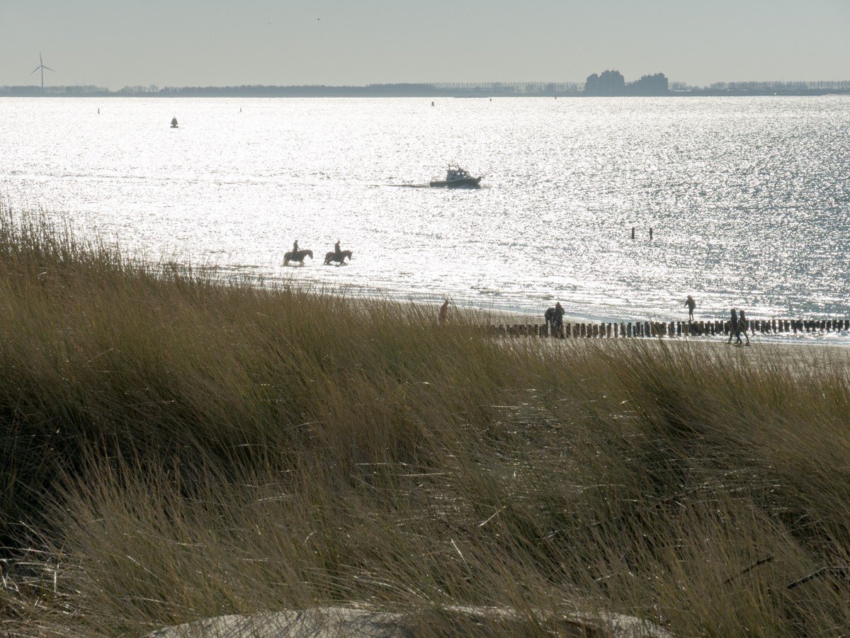 westduin vlissingen 012 1250668 westduin vlissingen 012 1250668