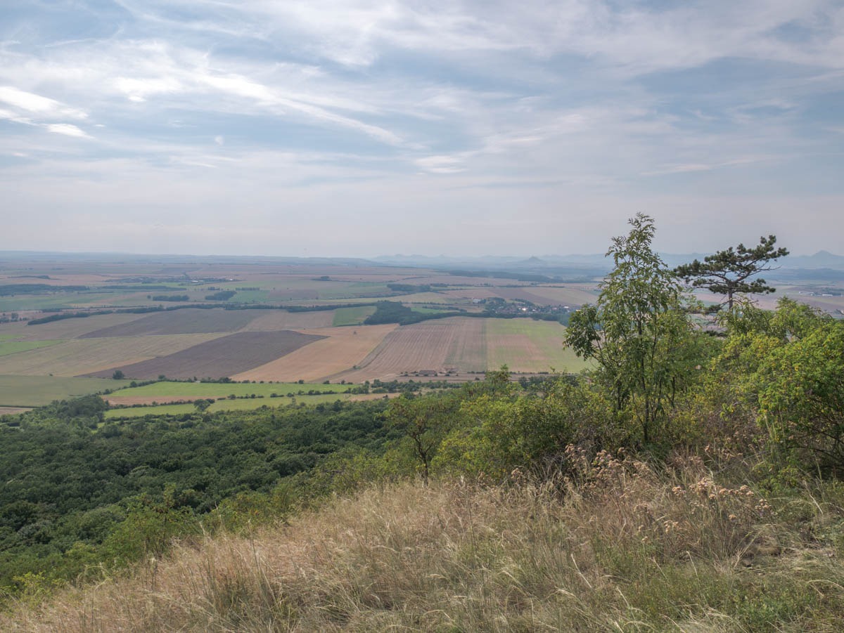 220729 hora rip  1270706 220729 hora rip  1270706