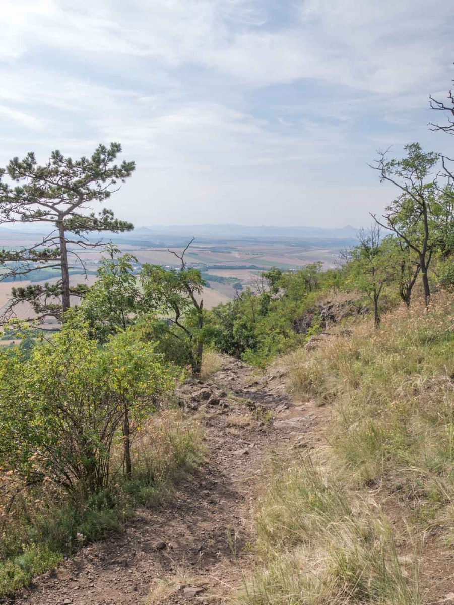 220729 hora rip  1270712 220729 hora rip  1270712