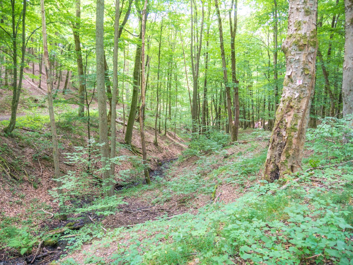 Schloss Stolberg en dwalen ‘rund um den Zwißelsberg’
