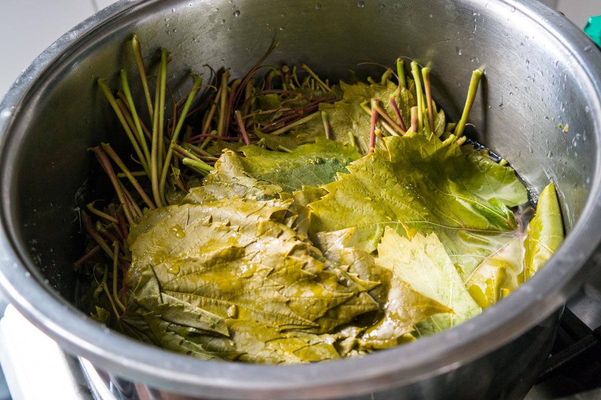 Gevulde druivenbladeren - dolma Gevulde druivenbladeren - dolma