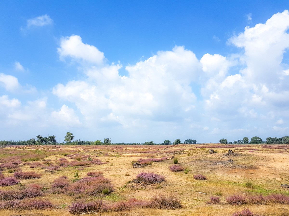 Strabrechtse heide