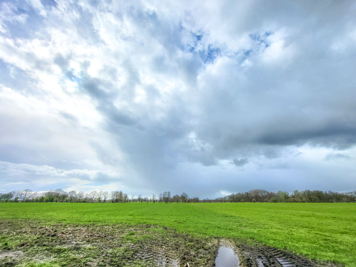 Maartse buien Maartse buien